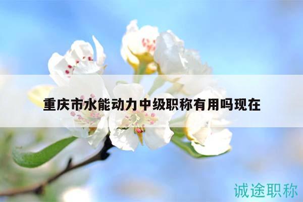 重慶市水能動力中級職稱有用嗎現在
