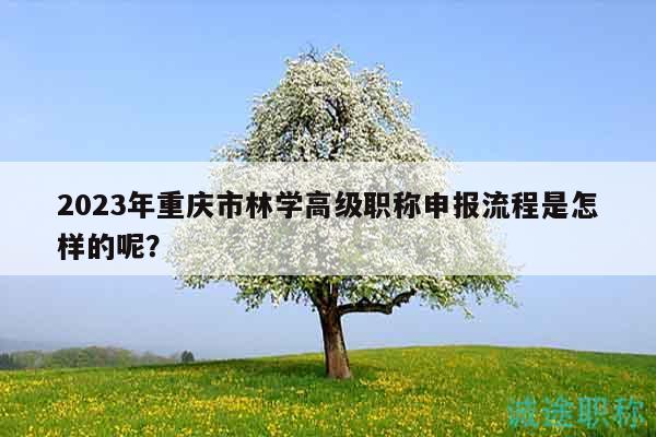 2023年重慶市林學(xué)高級職稱申報(bào)流程是怎樣的呢？