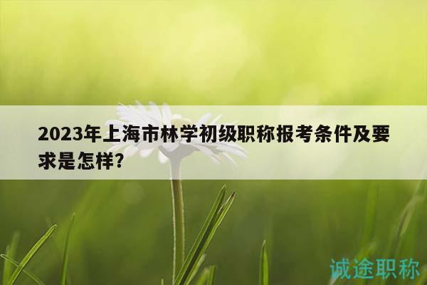 2023年上海市林學(xué)初級(jí)職稱報(bào)考條件及要求是怎樣？