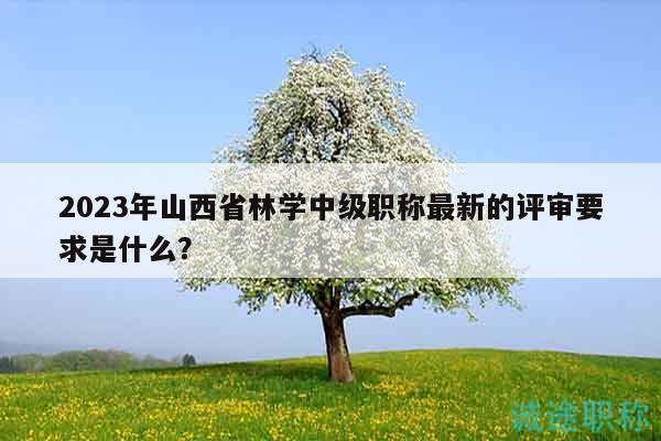 2023年山西省林學(xué)中級(jí)職稱最新的評(píng)審要求是什么？