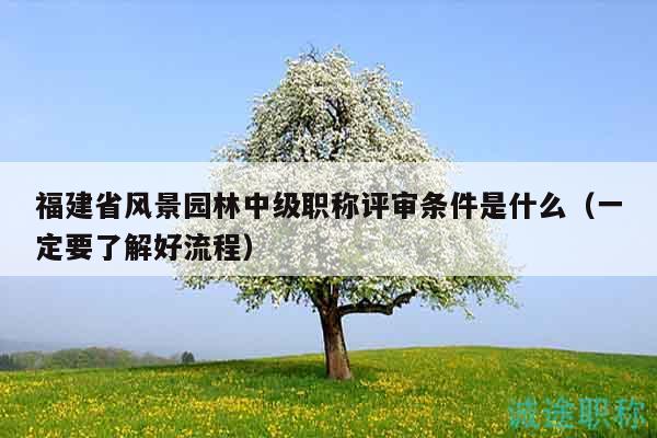 福建省風(fēng)景園林中級(jí)職稱評(píng)審條件是什么（一定要了解好流程）
