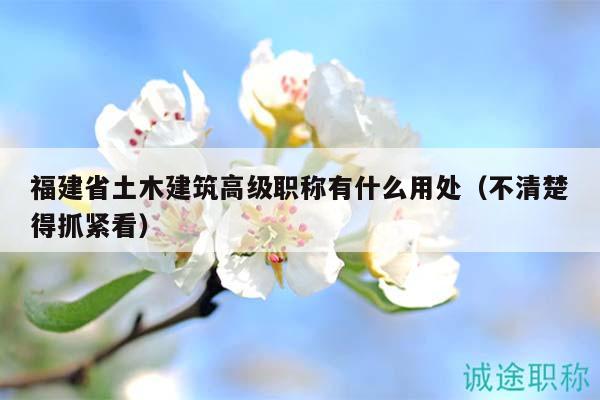 福建省土木建筑高級職稱有什么用處（不清楚得抓緊看）