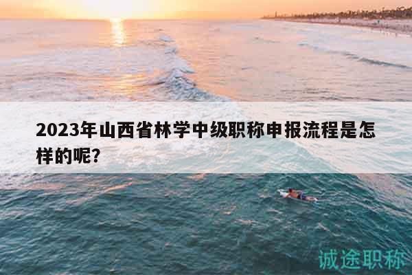 2023年山西省林學(xué)中級職稱申報流程是怎樣的呢？