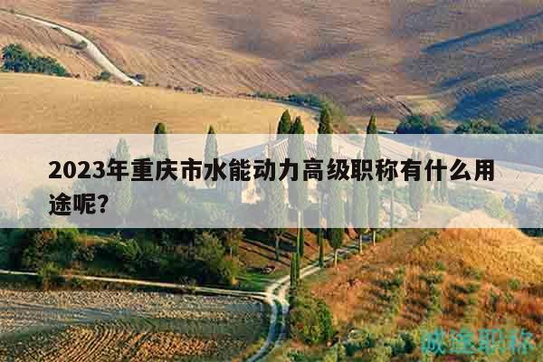 2023年重慶市水能動力高級職稱有什么用途呢？