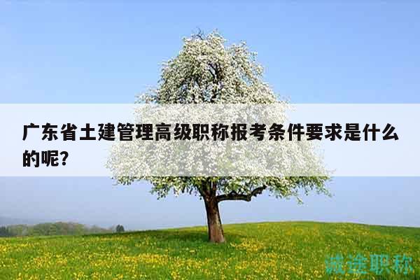 廣東省土建管理高級(jí)職稱(chēng)報(bào)考條件要求是什么的呢？