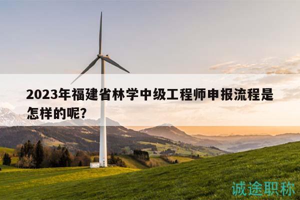 2023年福建省林學(xué)中級工程師申報流程是怎樣的呢？