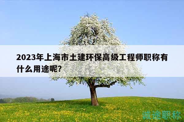 2023年上海市土建環(huán)保高級(jí)工程師職稱有什么用途呢？