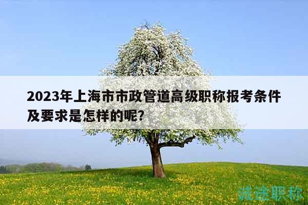 2023年上海市市政管道高級(jí)職稱報(bào)考條件及要求是怎樣的呢？