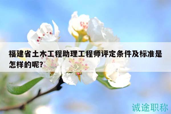 福建省土木工程助理工程師評(píng)定條件及標(biāo)準(zhǔn)是怎樣的呢？