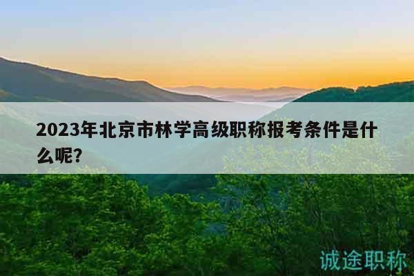 2023年北京市林學(xué)高級職稱報考條件是什么呢？