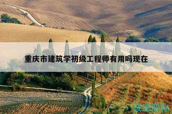 重慶市建筑學(xué)初級(jí)工程師有用嗎現(xiàn)在