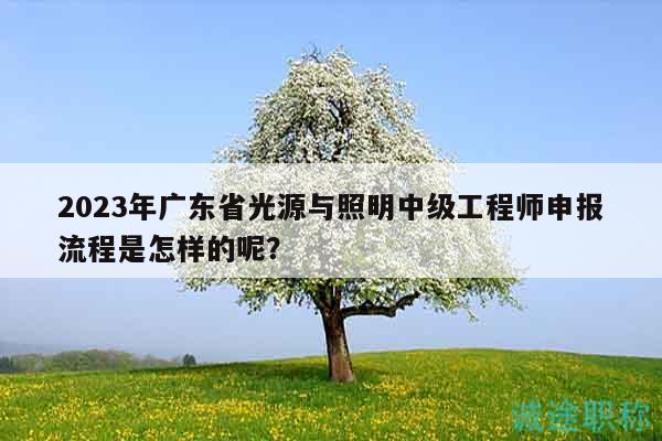 2023年廣東省光源與照明中級工程師申報流程是怎樣的呢？