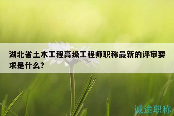 湖北省土木工程高級工程師職稱最新的評審要求是什么？