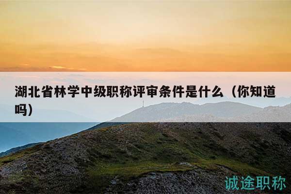 湖北省林學(xué)中級職稱評審條件是什么（你知道嗎）