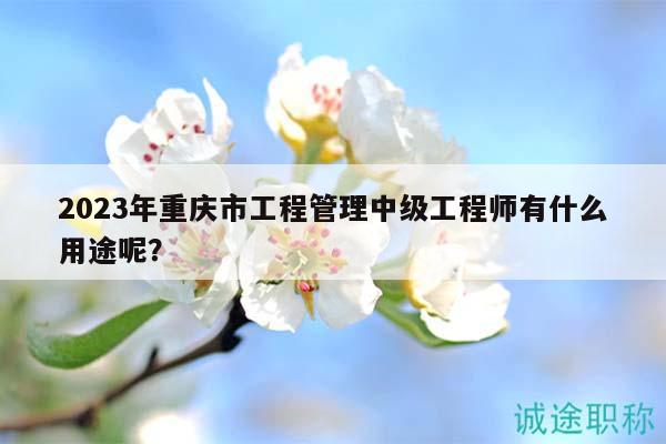 2023年重慶市工程管理中級工程師有什么用途呢？