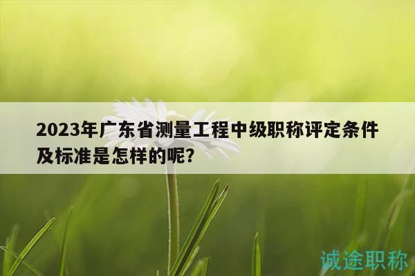 2023年廣東省測量工程中級職稱評定條件及標(biāo)準(zhǔn)是怎樣的呢？