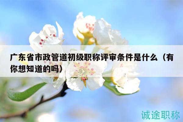 廣東省市政管道初級(jí)職稱評(píng)審條件是什么（有你想知道的嗎）