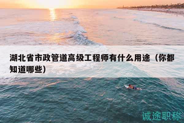 湖北省市政管道高級工程師有什么用途（你都知道哪些）