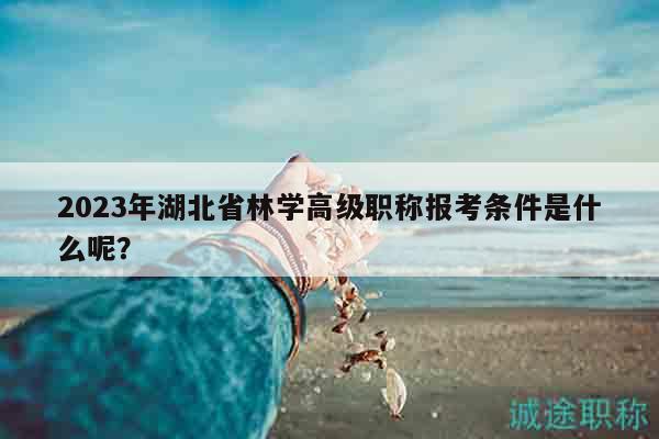 2023年湖北省林學(xué)高級職稱報考條件是什么呢？