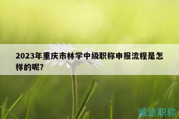 2023年重慶市林學中級職稱申報流程是怎樣的呢？