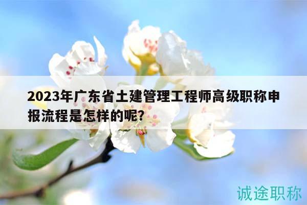 2023年廣東省土建管理工程師高級(jí)職稱申報(bào)流程是怎樣的呢？