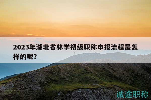2023年湖北省林學初級職稱申報流程是怎樣的呢？