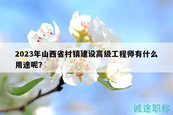 2023年山西省村鎮(zhèn)建設高級工程師有什么用途呢？