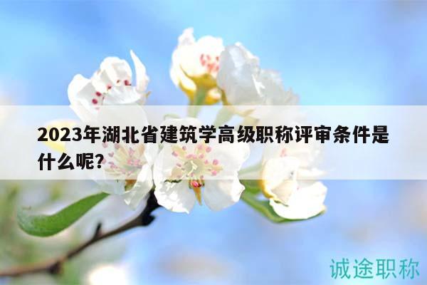 2023年湖北省建筑學高級職稱評審條件是什么呢？