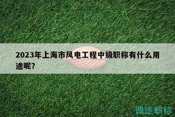 2023年上海市風(fēng)電工程中級職稱有什么用途呢？