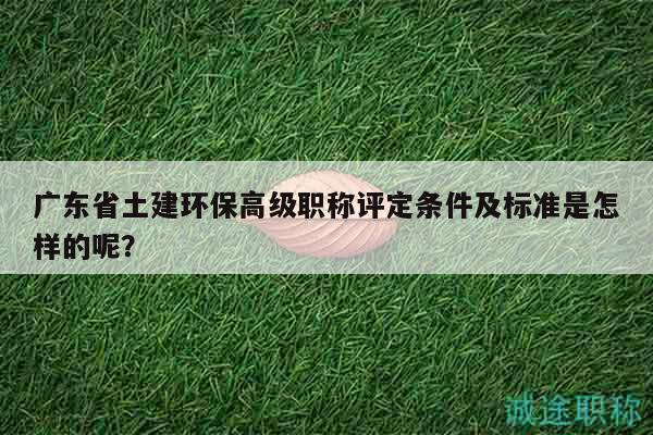 廣東省土建環(huán)保高級職稱評定條件及標(biāo)準(zhǔn)是怎樣的呢？