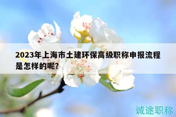 2023年上海市土建環(huán)保高級職稱申報流程是怎樣的呢？