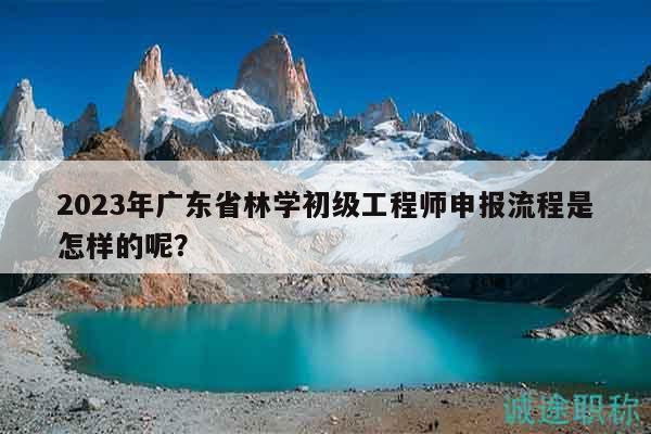 2023年廣東省林學初級工程師申報流程是怎樣的呢？