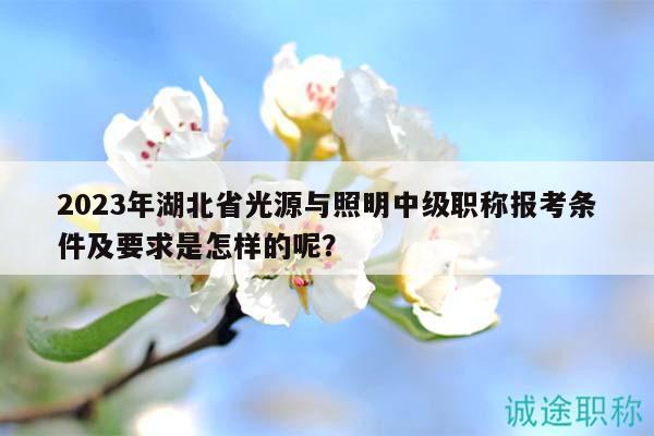 2023年湖北省光源與照明中級(jí)職稱(chēng)報(bào)考條件及要求是怎樣的呢？