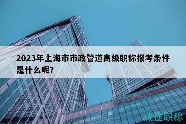 2023年上海市市政管道高級職稱報考條件是什么呢？