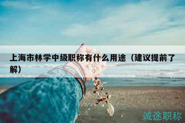 上海市林學(xué)中級(jí)職稱(chēng)有什么用途（建議提前了解）