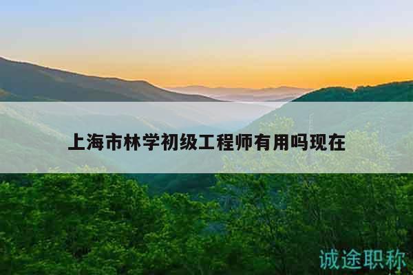 上海市林學初級工程師有用嗎現(xiàn)在