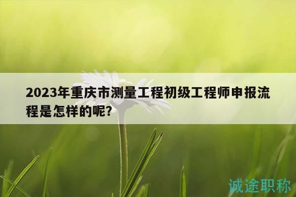 2023年重慶市測(cè)量工程初級(jí)工程師申報(bào)流程是怎樣的呢？