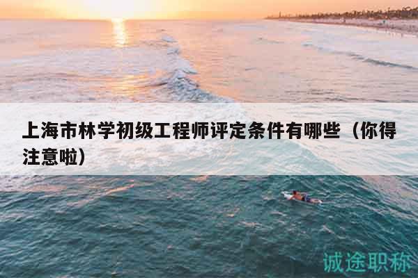 上海市林學(xué)初級(jí)工程師評(píng)定條件有哪些（你得注意啦）