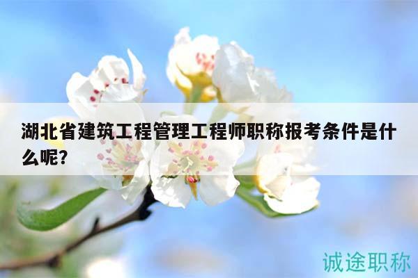 湖北省建筑工程管理工程師職稱報考條件是什么呢？