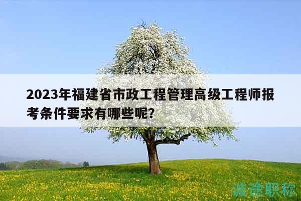 2023年福建省市政工程管理高級工程師報(bào)考條件要求有哪些呢？