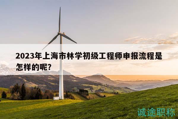 2023年上海市林學(xué)初級(jí)工程師申報(bào)流程是怎樣的呢？