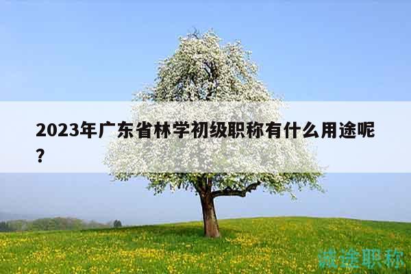 2023年廣東省林學(xué)初級(jí)職稱(chēng)有什么用途呢？
