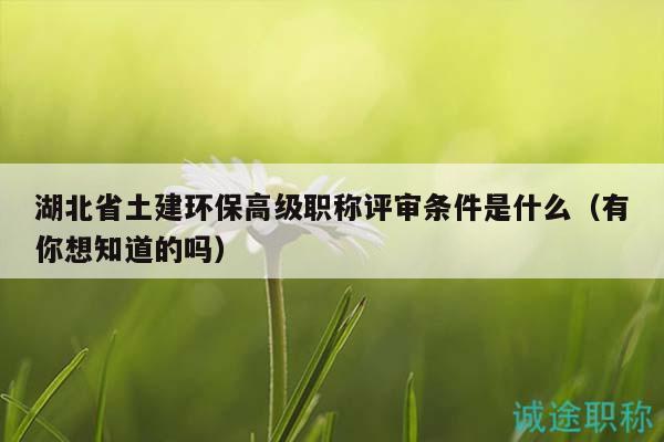 湖北省土建環(huán)保高級職稱評審條件是什么（有你想知道的嗎）