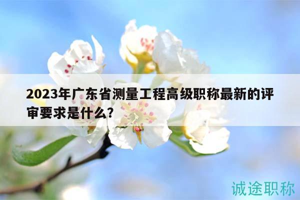 2023年廣東省測(cè)量工程高級(jí)職稱最新的評(píng)審要求是什么？