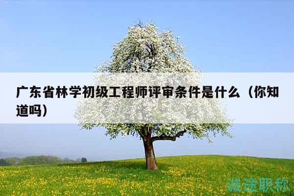 廣東省林學(xué)初級工程師評審條件是什么（你知道嗎）