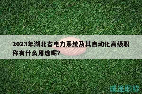 2023年湖北省電力系統(tǒng)及其自動(dòng)化高級(jí)職稱(chēng)有什么用途呢？