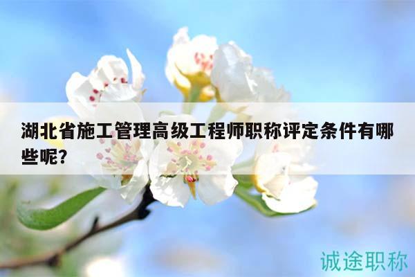 湖北省施工管理高級(jí)工程師職稱評(píng)定條件有哪些呢？