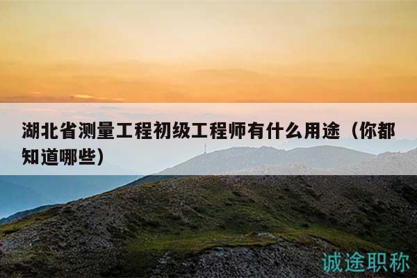 湖北省測量工程初級工程師有什么用途（你都知道哪些）