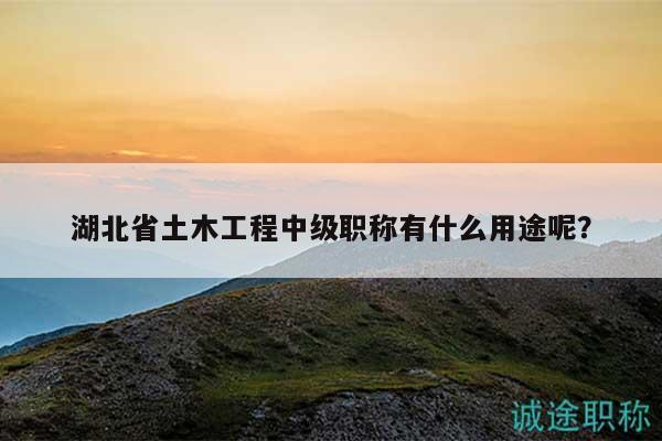 湖北省土木工程中級職稱有什么用途呢？