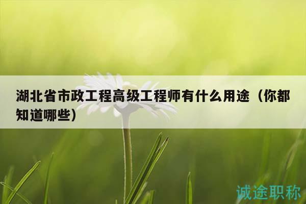 湖北省市政工程高級(jí)工程師有什么用途（你都知道哪些）
